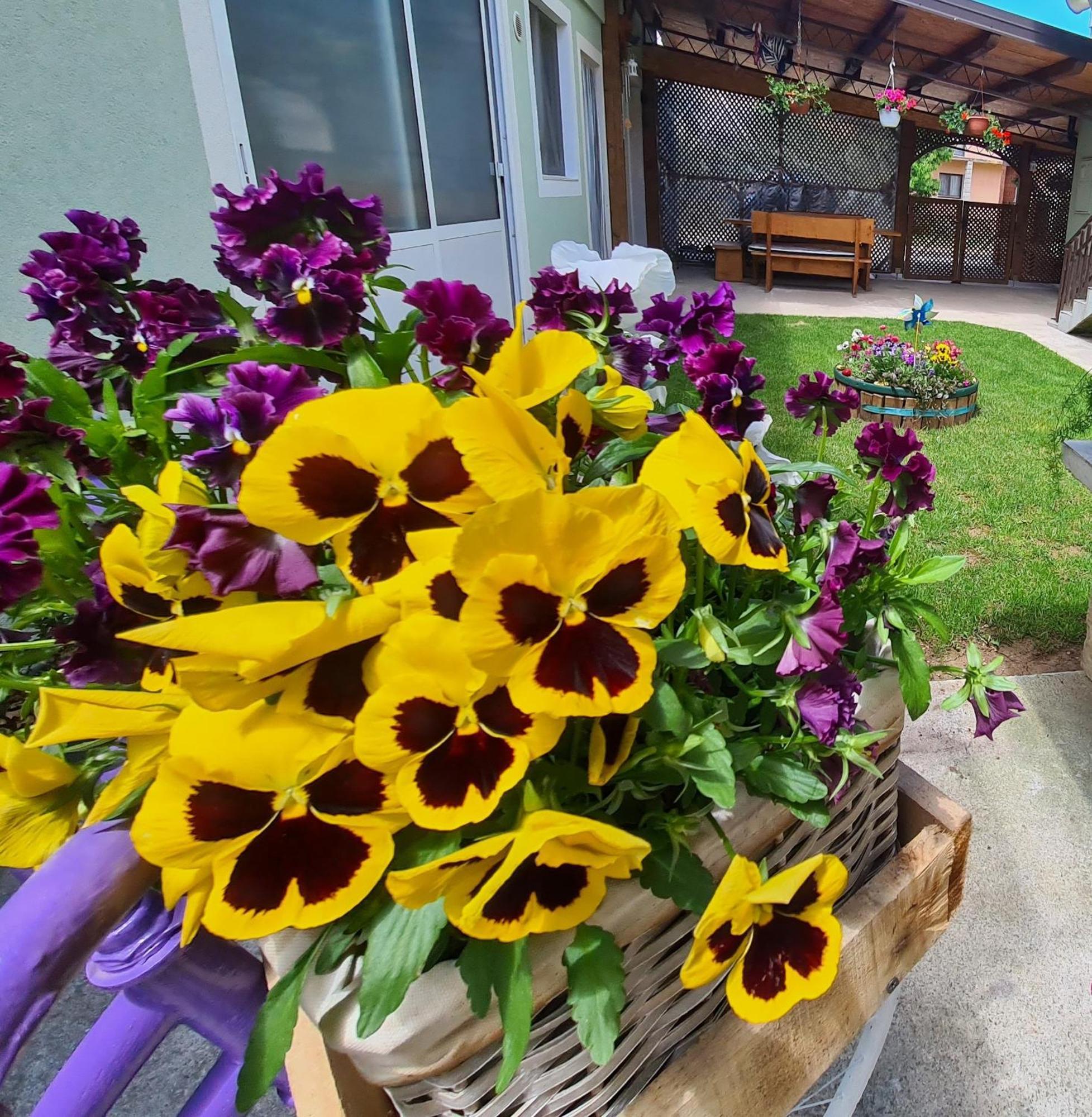 Ana Apartment Gracac  ภายนอก รูปภาพ