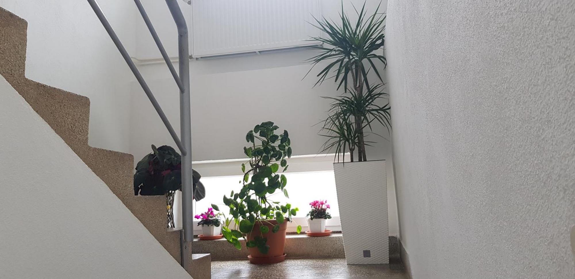 Ana Apartment Gracac  ภายนอก รูปภาพ